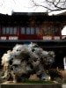 Shanghai Confucian Temple, worshiping nature