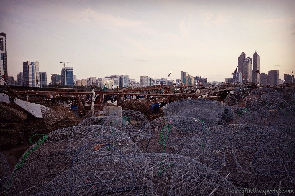 abu dhabi port3
