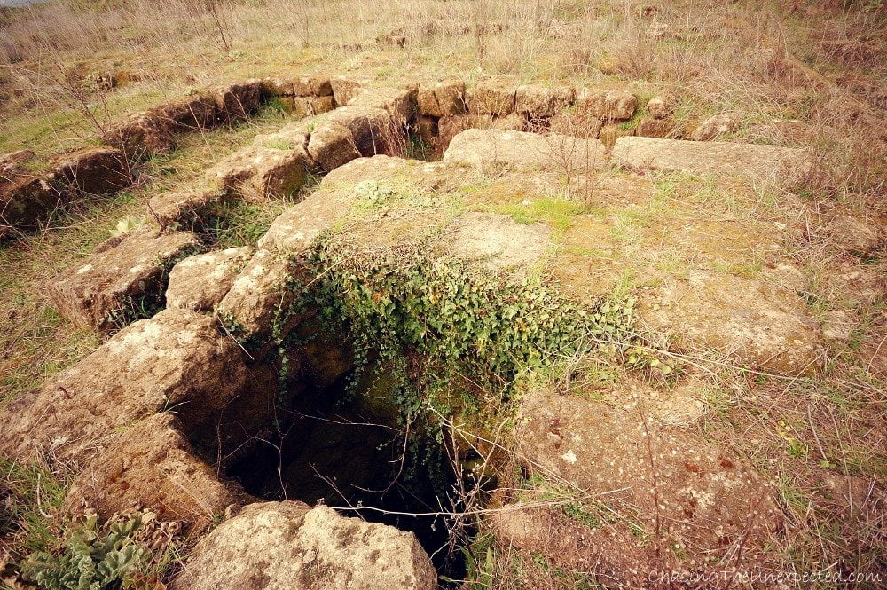 Image: Etruscan ruins in Parco di Veio