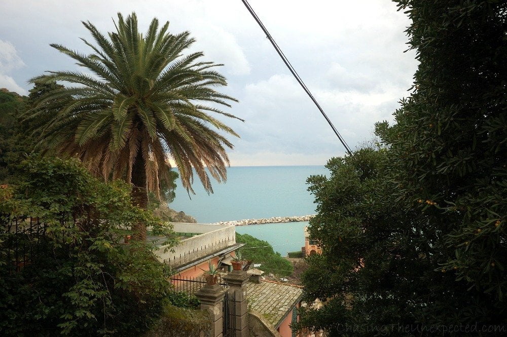 View from Levanto castle