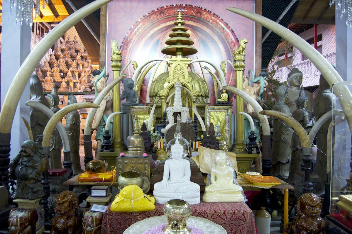 Image: What is Sri Lanka famous for is its temples.